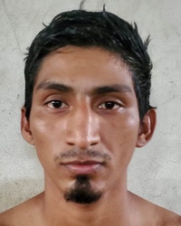 ALEX MOISES VALLECILLO GONZALEZ