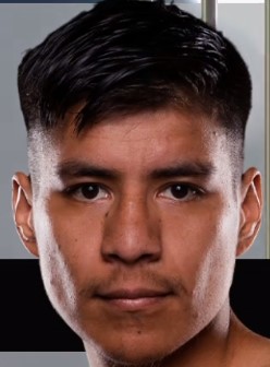 DARIO GUERRERO-MENESES