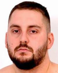 SERGEJ ADAMOVIC