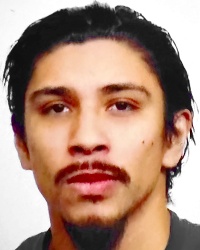 VINCENT AVINA